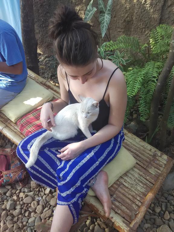 Bricks And Bamboo Hostel アンジュナ エクステリア 写真